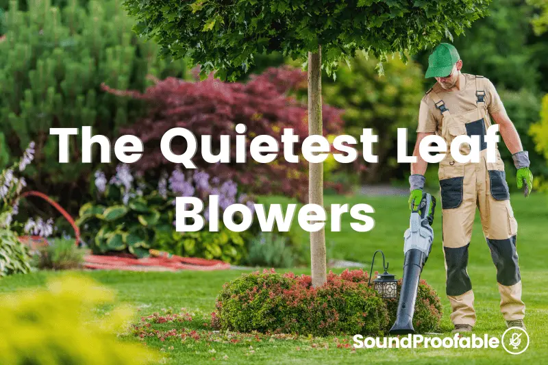 The 5 Quietest Leaf Blowers In 2022: Best Silent Models