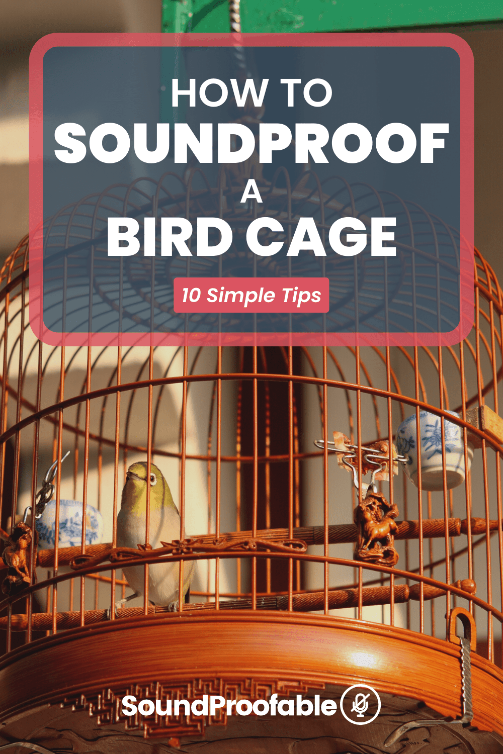 How To Soundproof A Bird Cage 10 Simple Tips