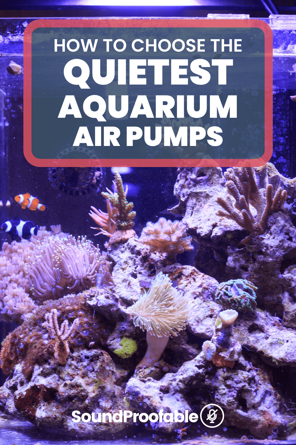 The 5 Quietest Aquarium Air Pumps In 2022 Silent Models